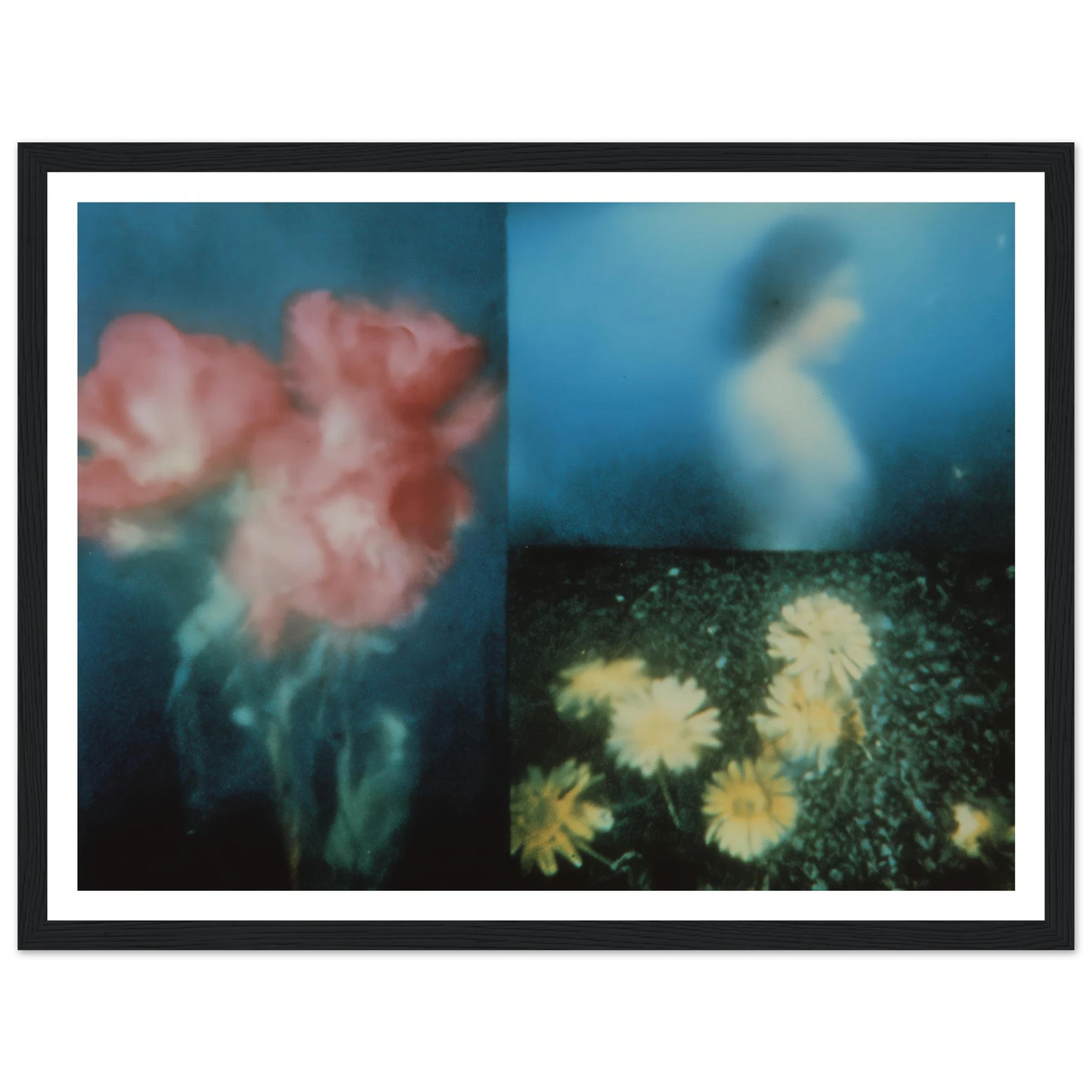 0b6e70f2-b057-4168-9062-5cfd9595d16e