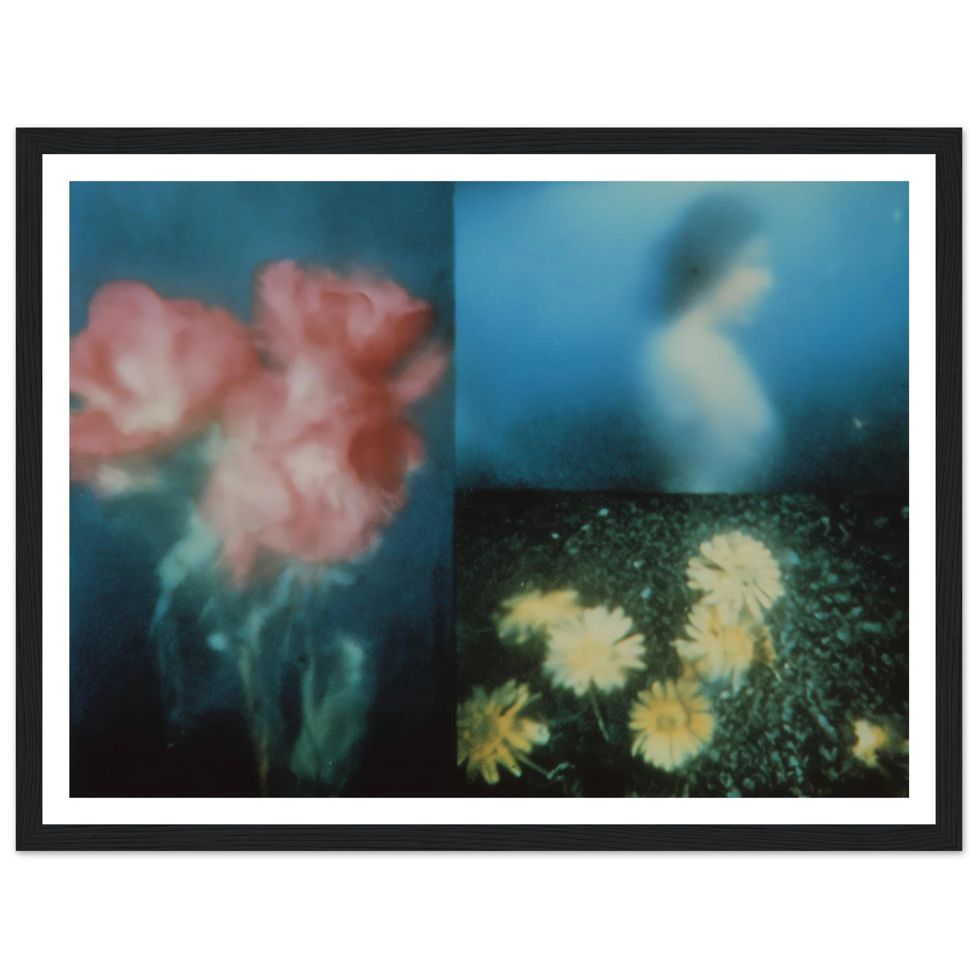 0b6e70f2-b057-4168-9062-5cfd9595d16e