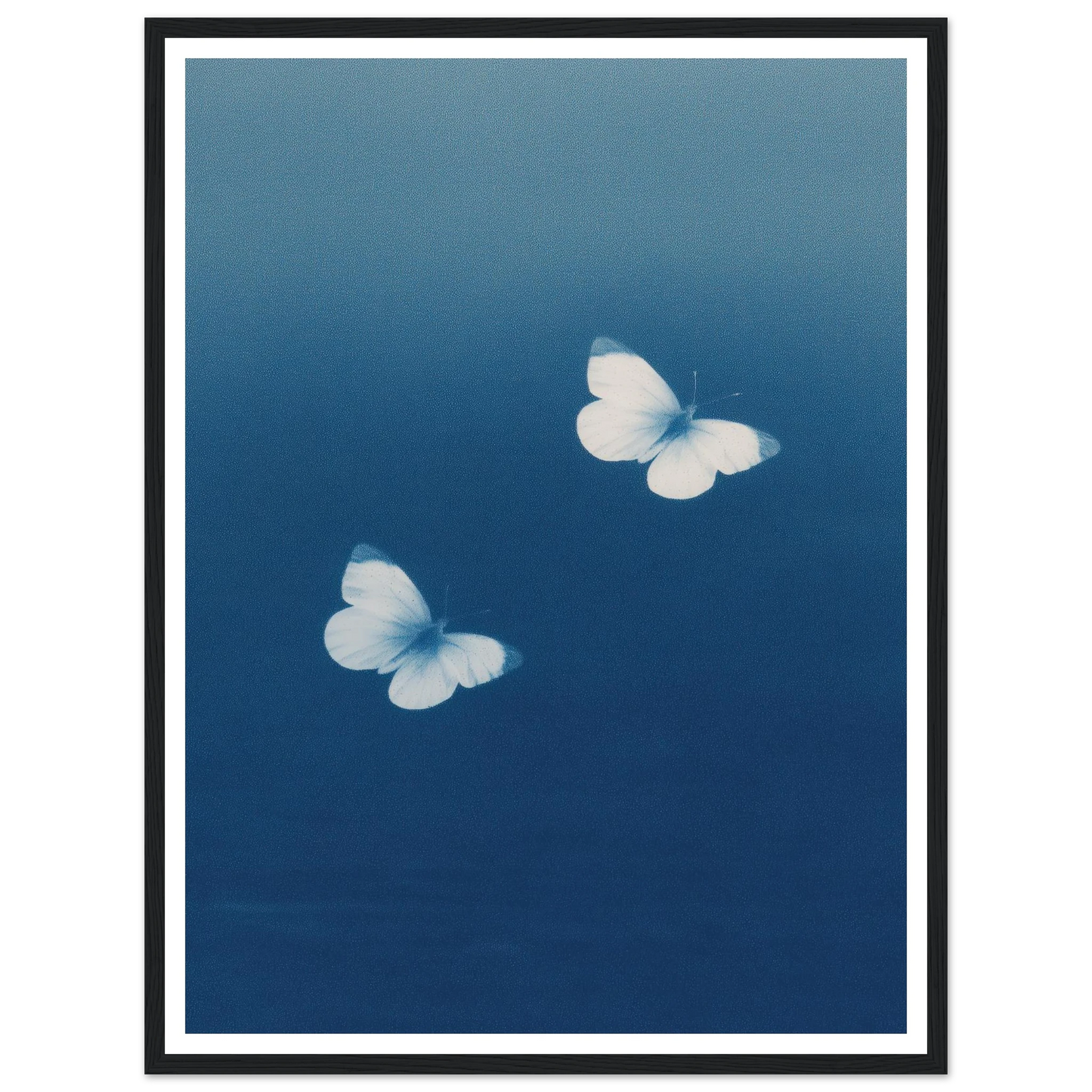 0c96c65b-5eb9-44e6-9cd6-96135036a4a9