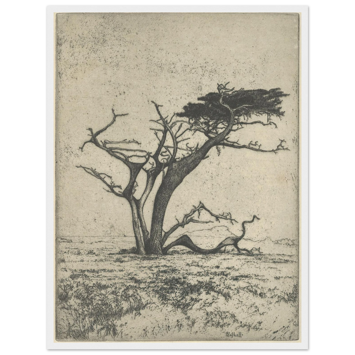 Antlers (1915) Art Print | Ernest Haskell-Quipham Collections
