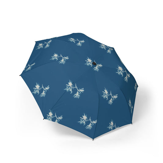 Ectocarpus sphaerophorus Umbrella | Anna Atkins-Quipham Collections