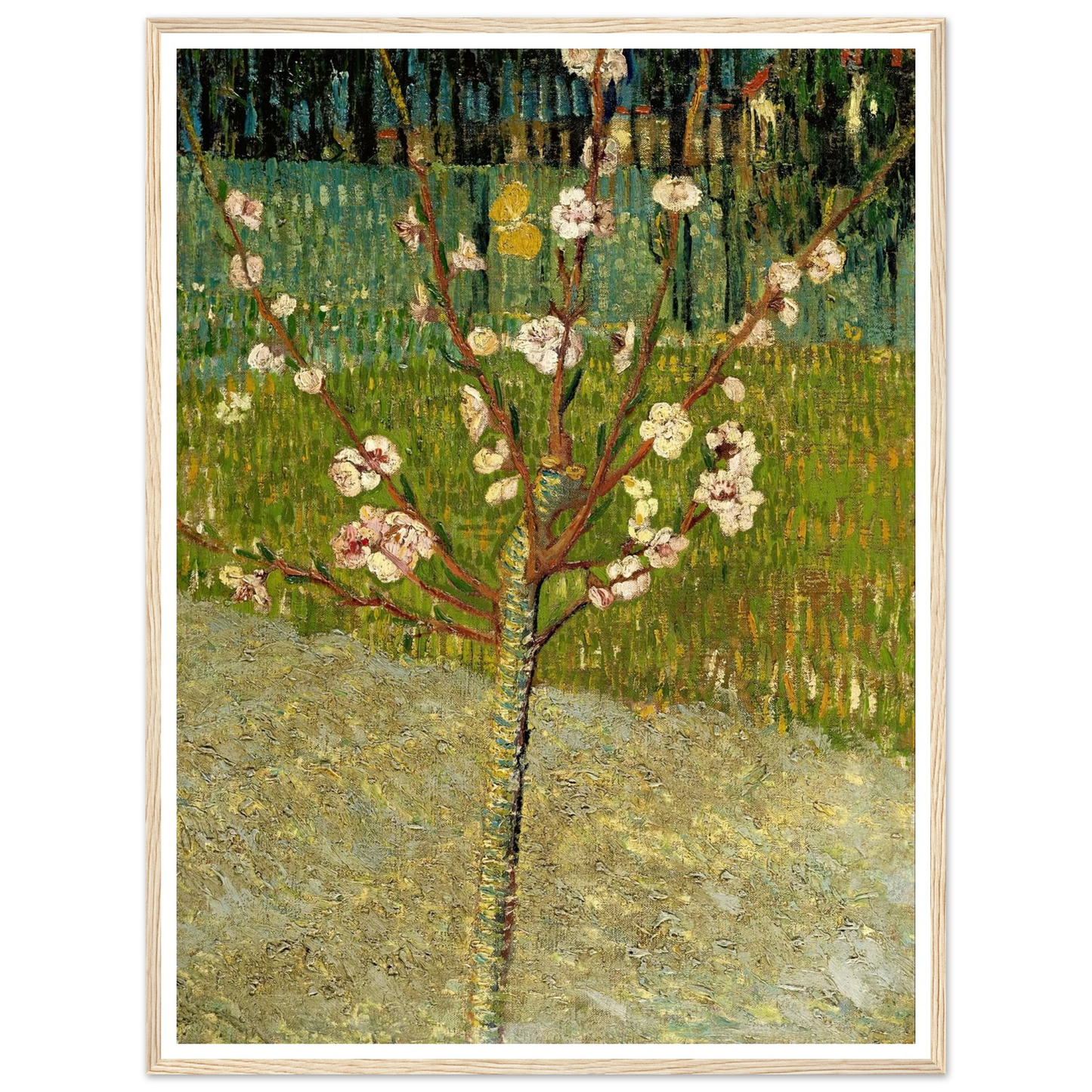 Almond tree in blossom Art Print | Vincent van Gogh-Quipham Collections
