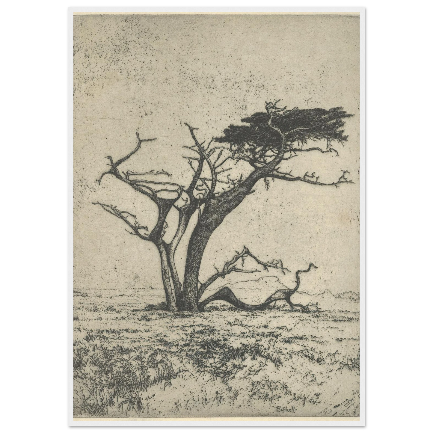 Antlers (1915) Art Print | Ernest Haskell-Quipham Collections