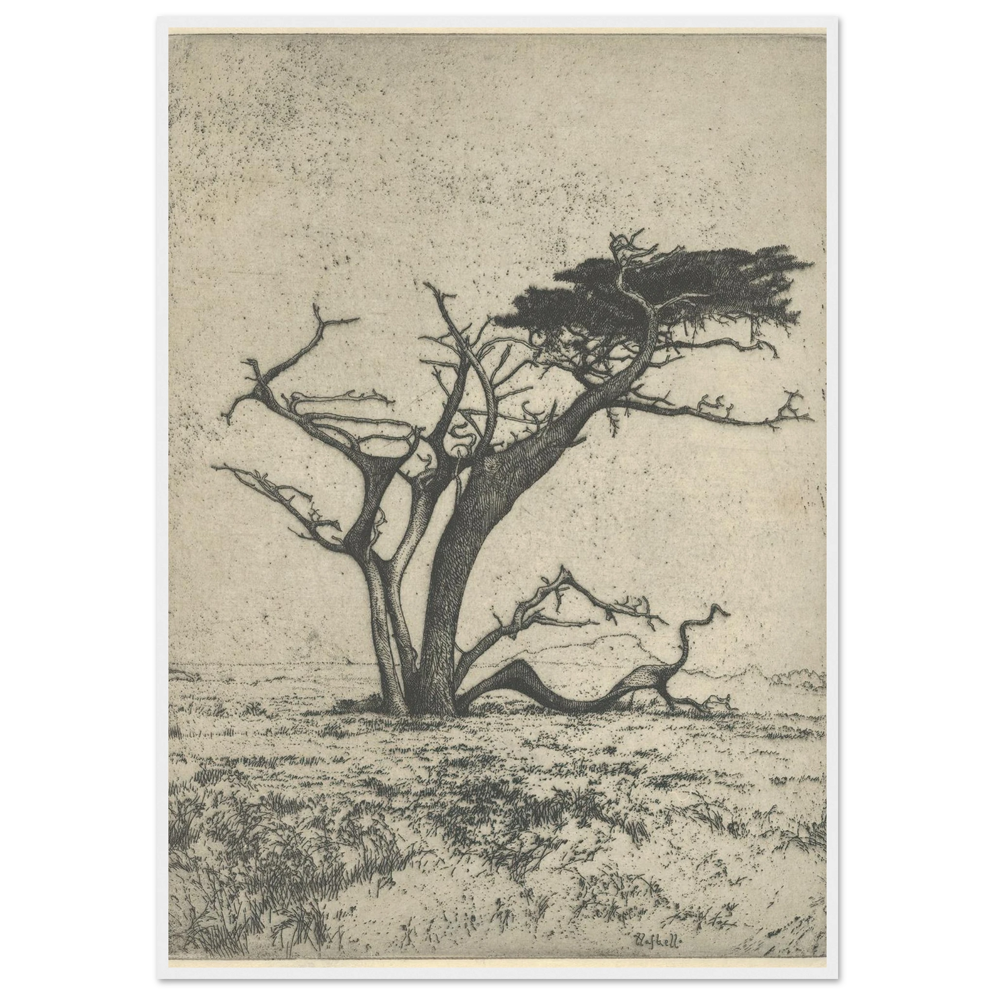Antlers (1915) Art Print | Ernest Haskell-Quipham Collections