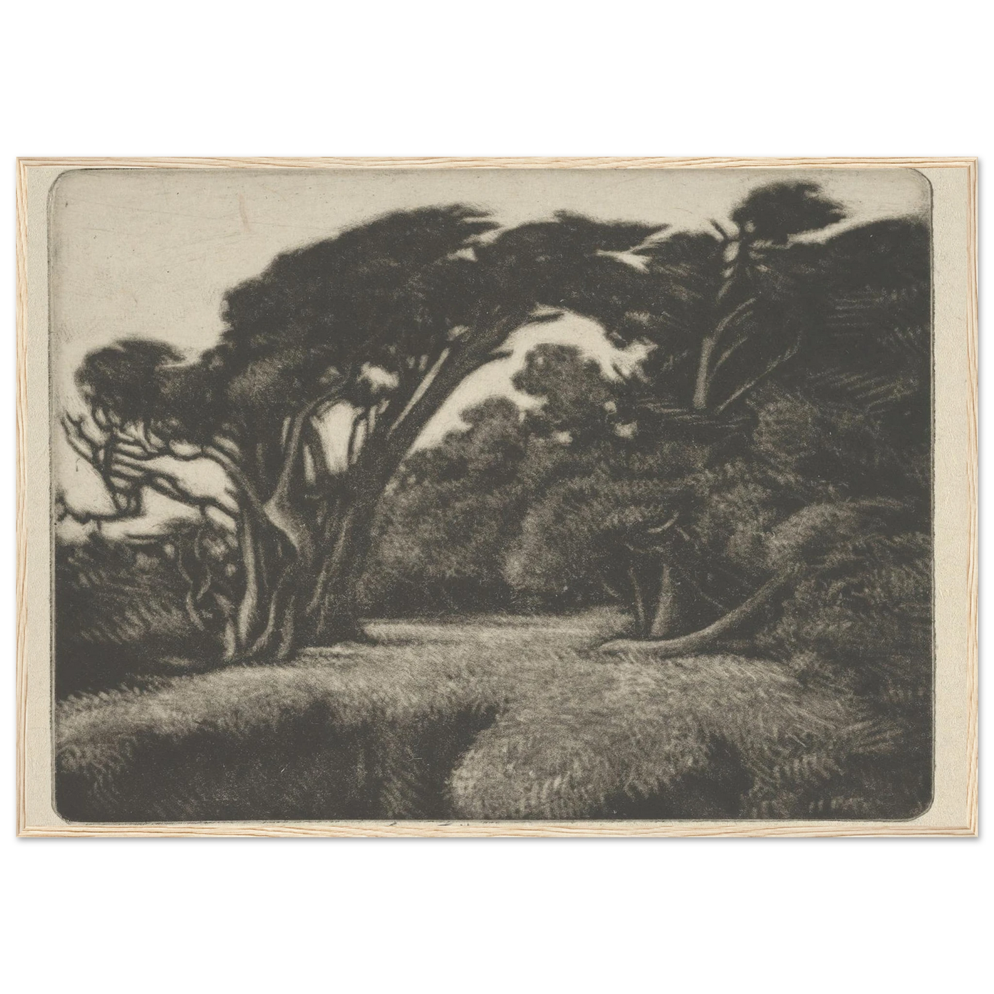 Cypress Bower (1920) Art Print | Ernest Haskell-Quipham Collections