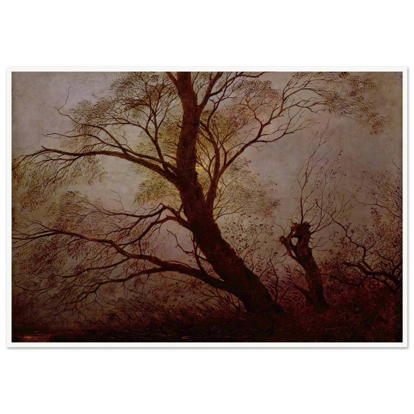 12907858-a27d-4a60-9940-6b7008906614