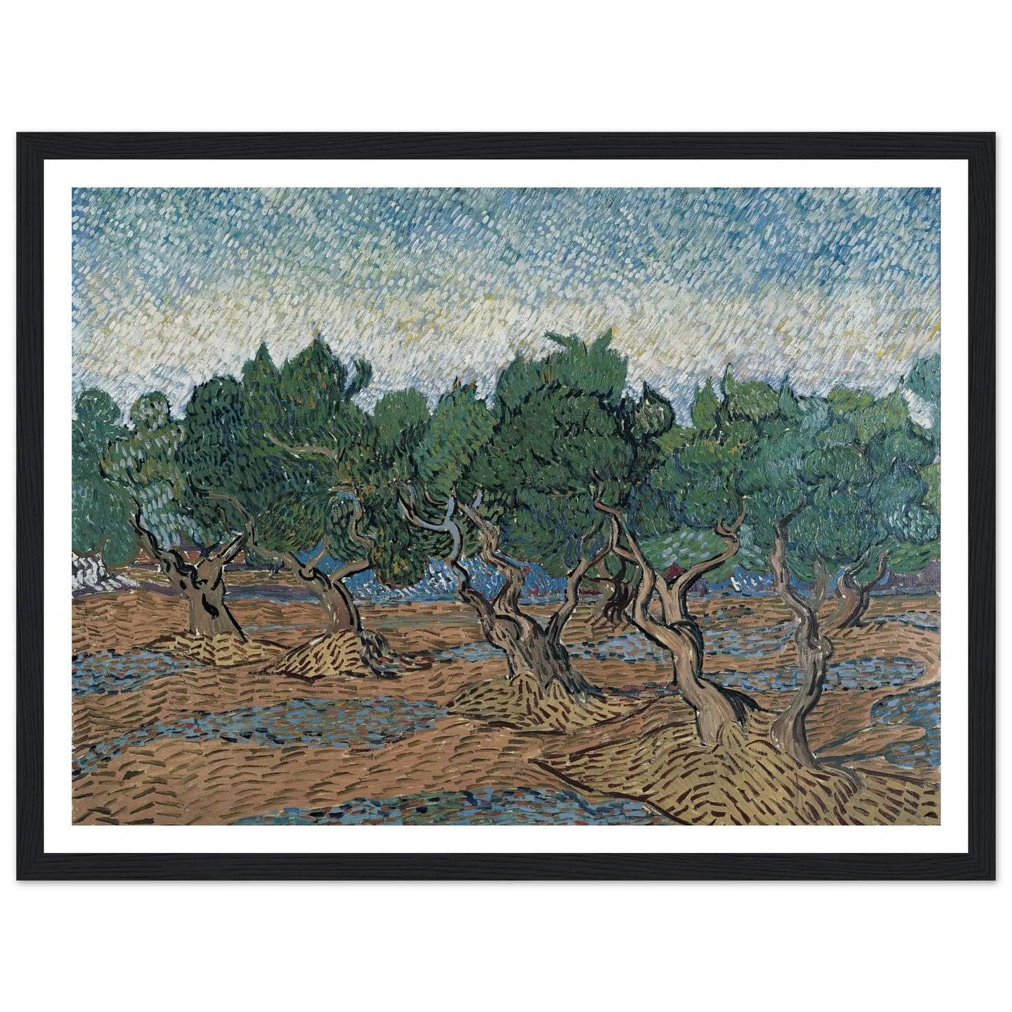 Olive grove Art Print | Vincent van Gogh-Quipham Collections