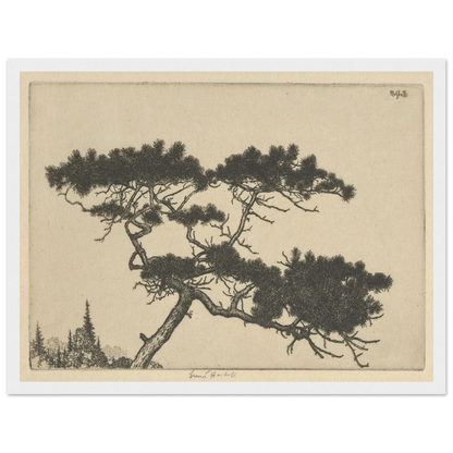 Crippled Pine (between 1900 and 1925) Art Print | Ernest Haskell-Quipham Collections