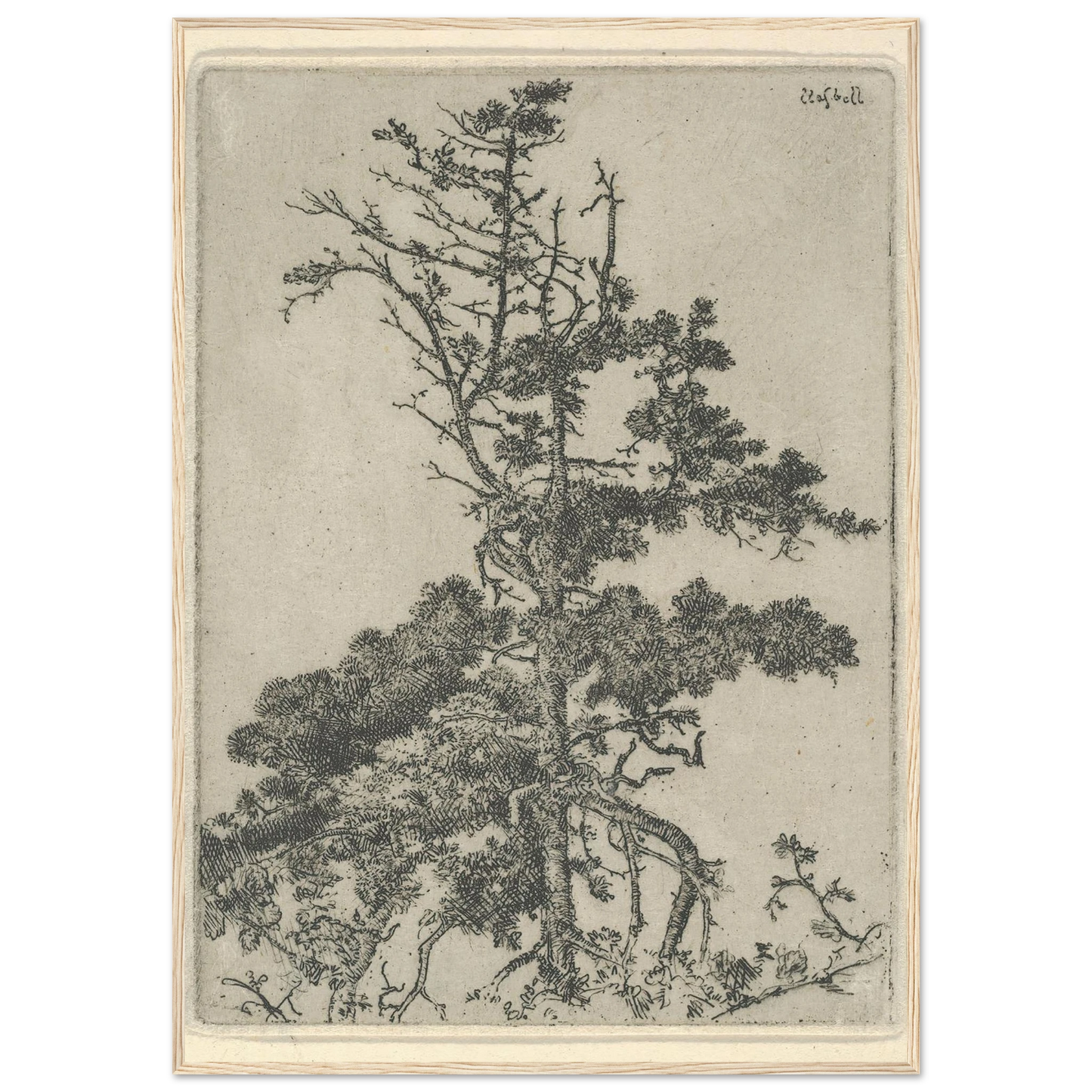 Tree Top (1900-1925) Art Print | Ernest Haskell-Quipham Collections