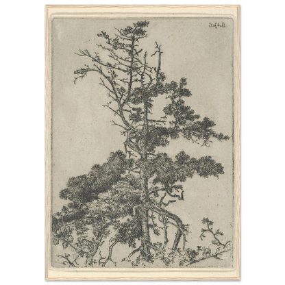 Tree Top (1900-1925) Art Print | Ernest Haskell-Quipham Collections