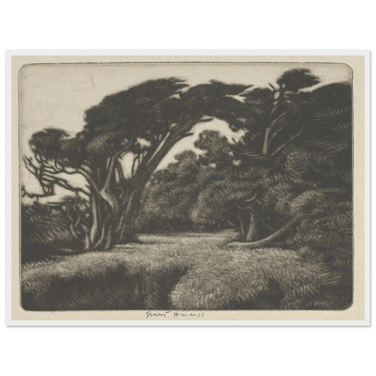Cypress Bower (1920) Art Print | Ernest Haskell-Quipham Collections