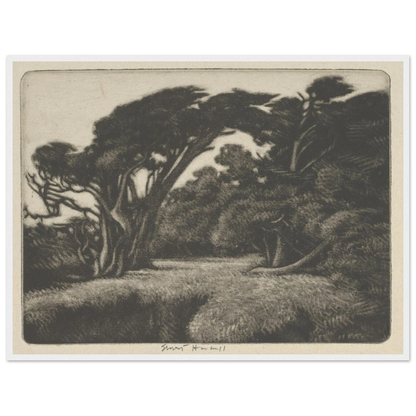 Cypress Bower (1920) Art Print | Ernest Haskell-Quipham Collections