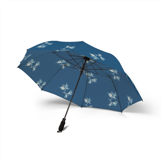 Ectocarpus sphaerophorus Umbrella | Anna Atkins-Quipham Collections