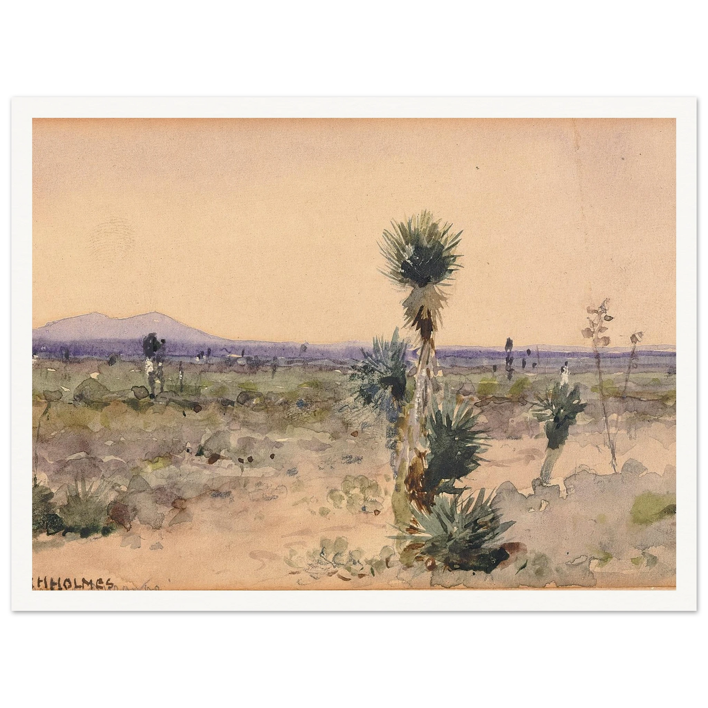 Yuccaland–Chihuahua, Mexico Art Print | William Henry Holmes-Quipham Collections