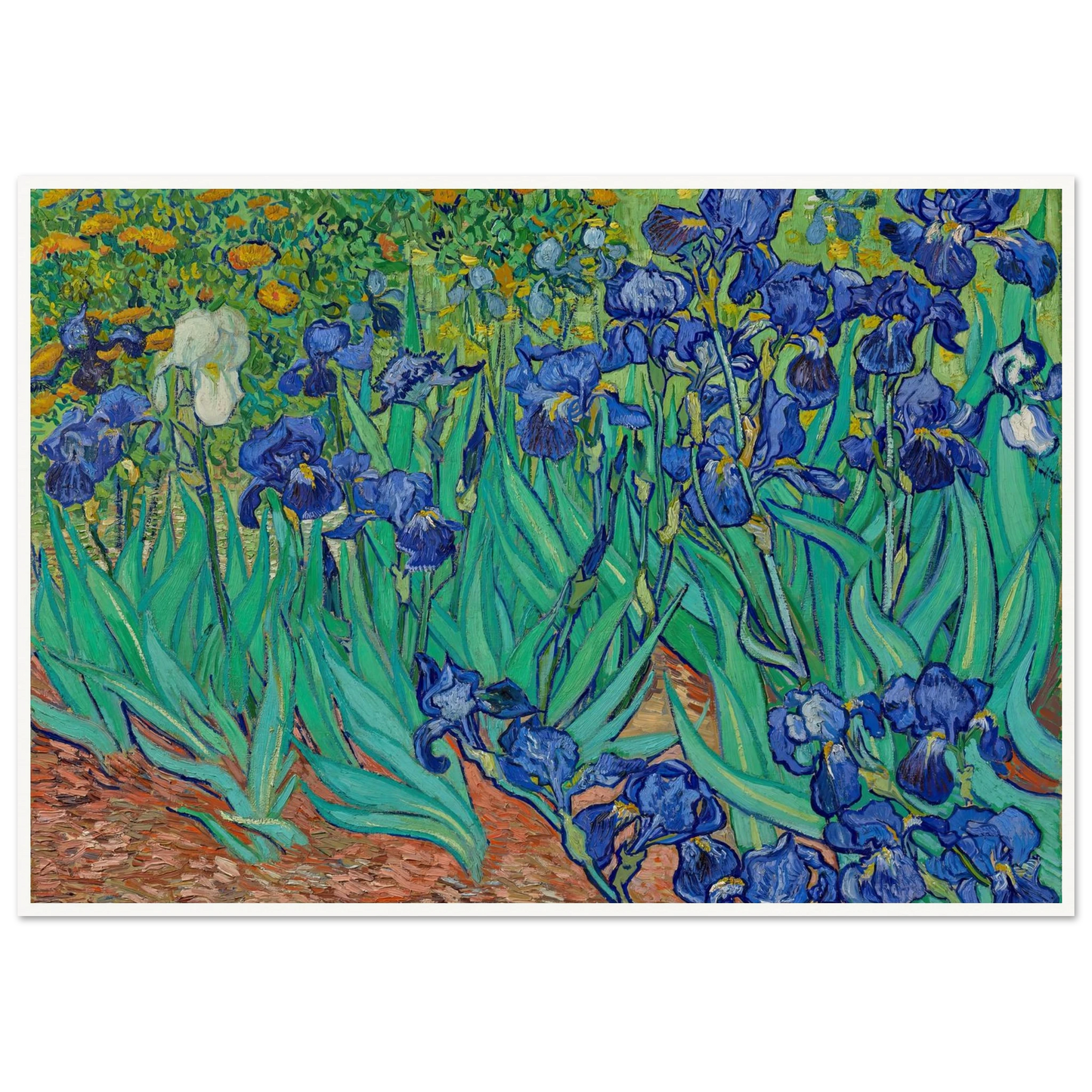 Irises (1889) Art Print | Vincent van Gogh-Quipham Collections