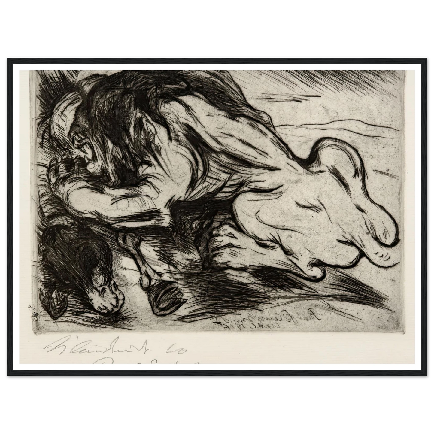 Ein Löwe reißt ein Zebu (1916) Art Print | Paul Kleinschmidt-Quipham Collections