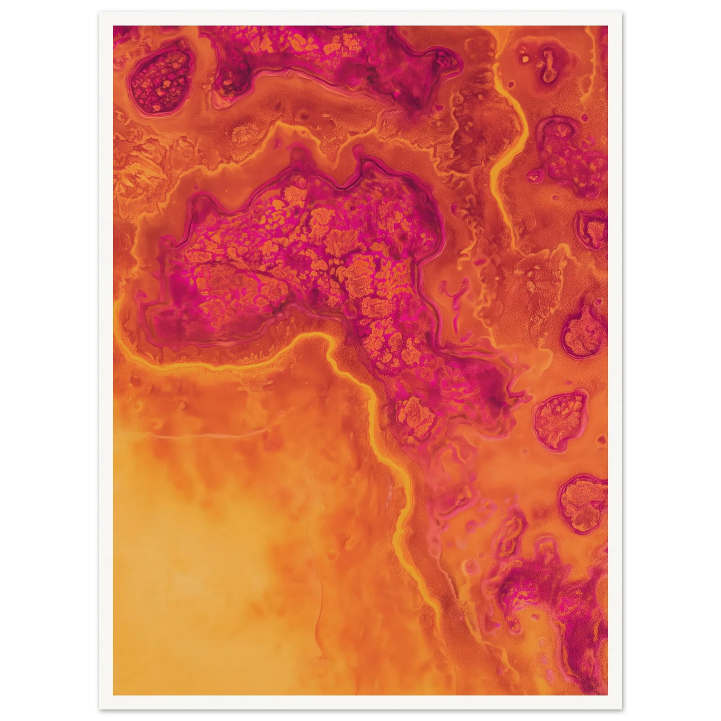 1e8e9556-c0a7-4504-9b76-fc3012021ba9