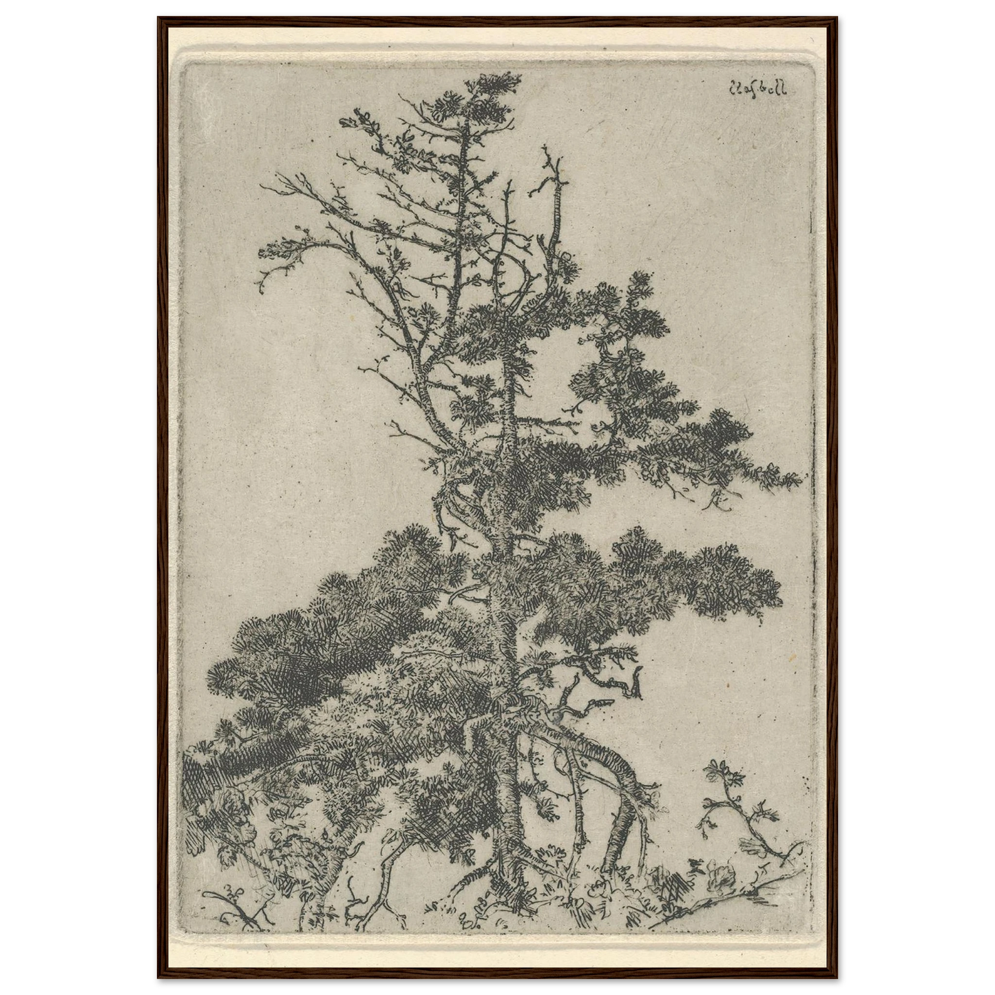 Tree Top (1900-1925) Art Print | Ernest Haskell-Quipham Collections