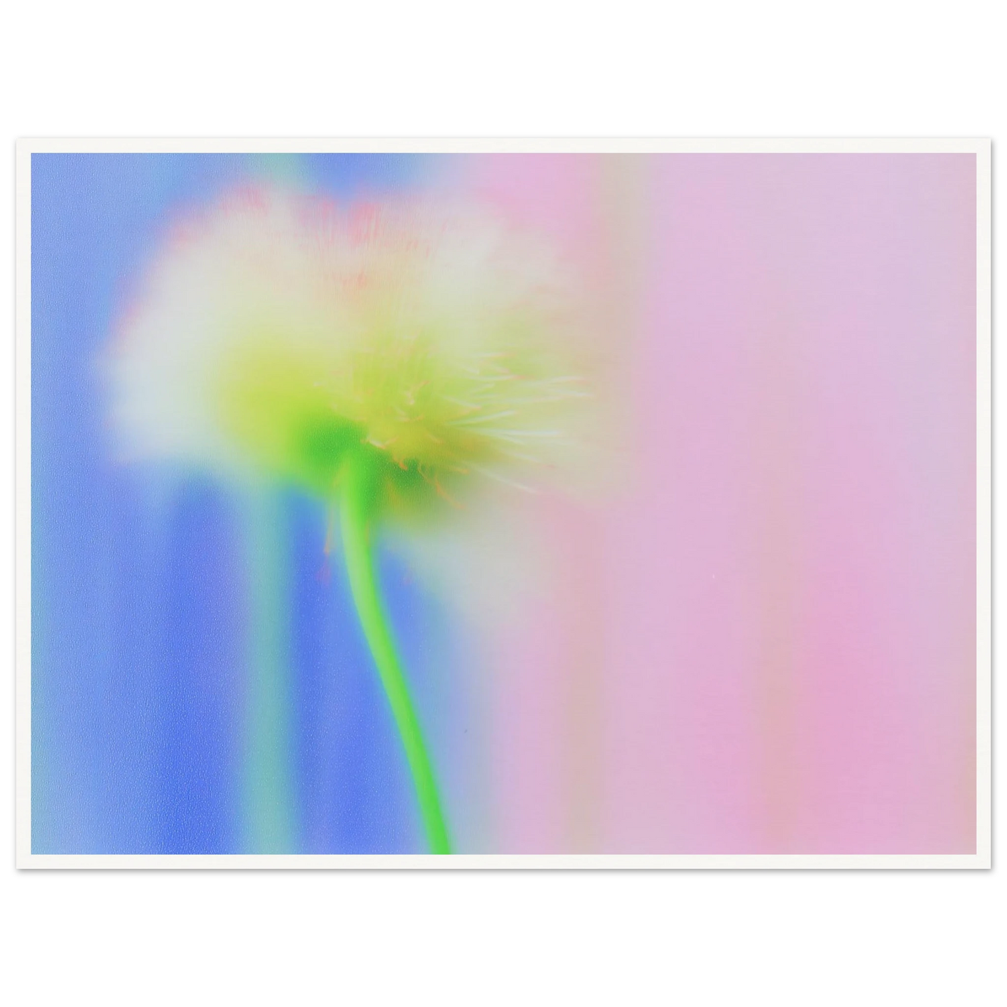 1fd64a5d-4cca-4ece-9b2f-0391f648237f