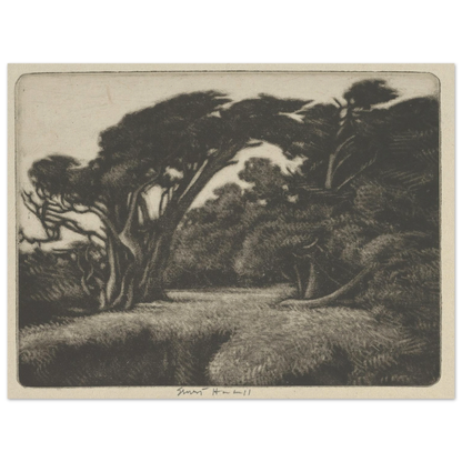 Cypress Bower (1920) Art Print | Ernest Haskell-Quipham Collections
