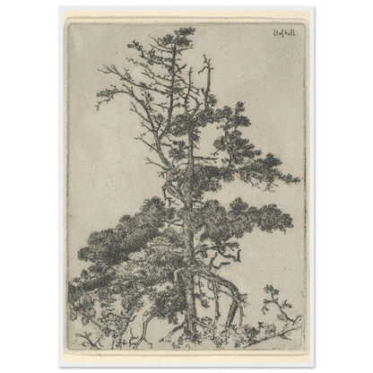 Tree Top (1900-1925) Art Print | Ernest Haskell-Quipham Collections