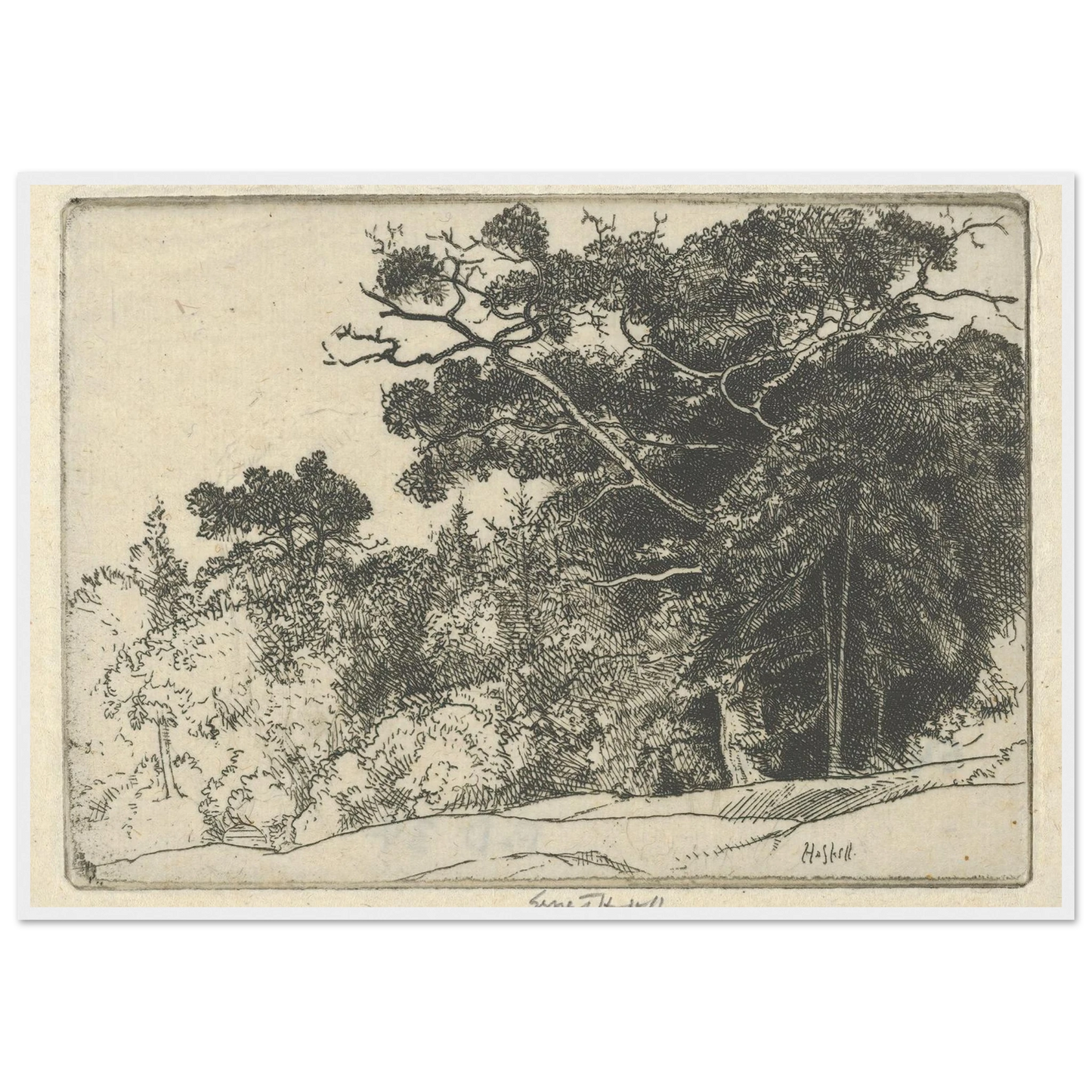 Brown’s Oak (probably 1910) Art Print | Ernest Haskell-Quipham Collections