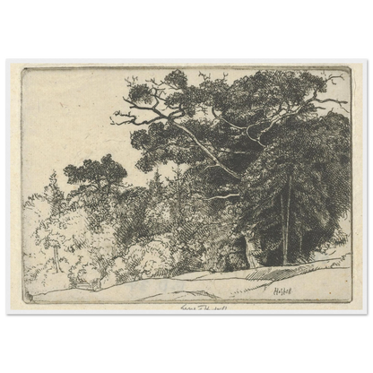 Brown’s Oak (probably 1910) Art Print | Ernest Haskell-Quipham Collections