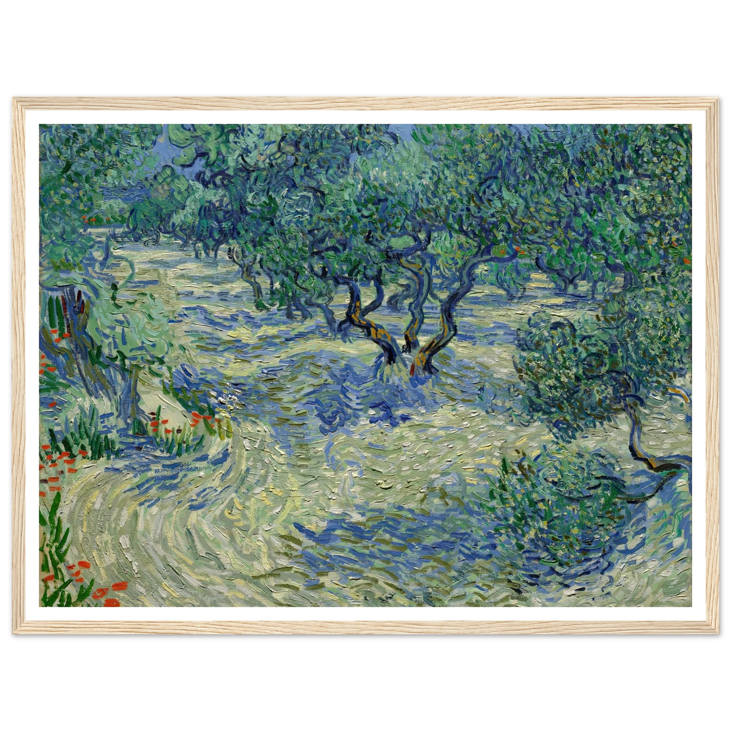 Olive Orchard Art Print | Vincent van Gogh-Quipham Collections