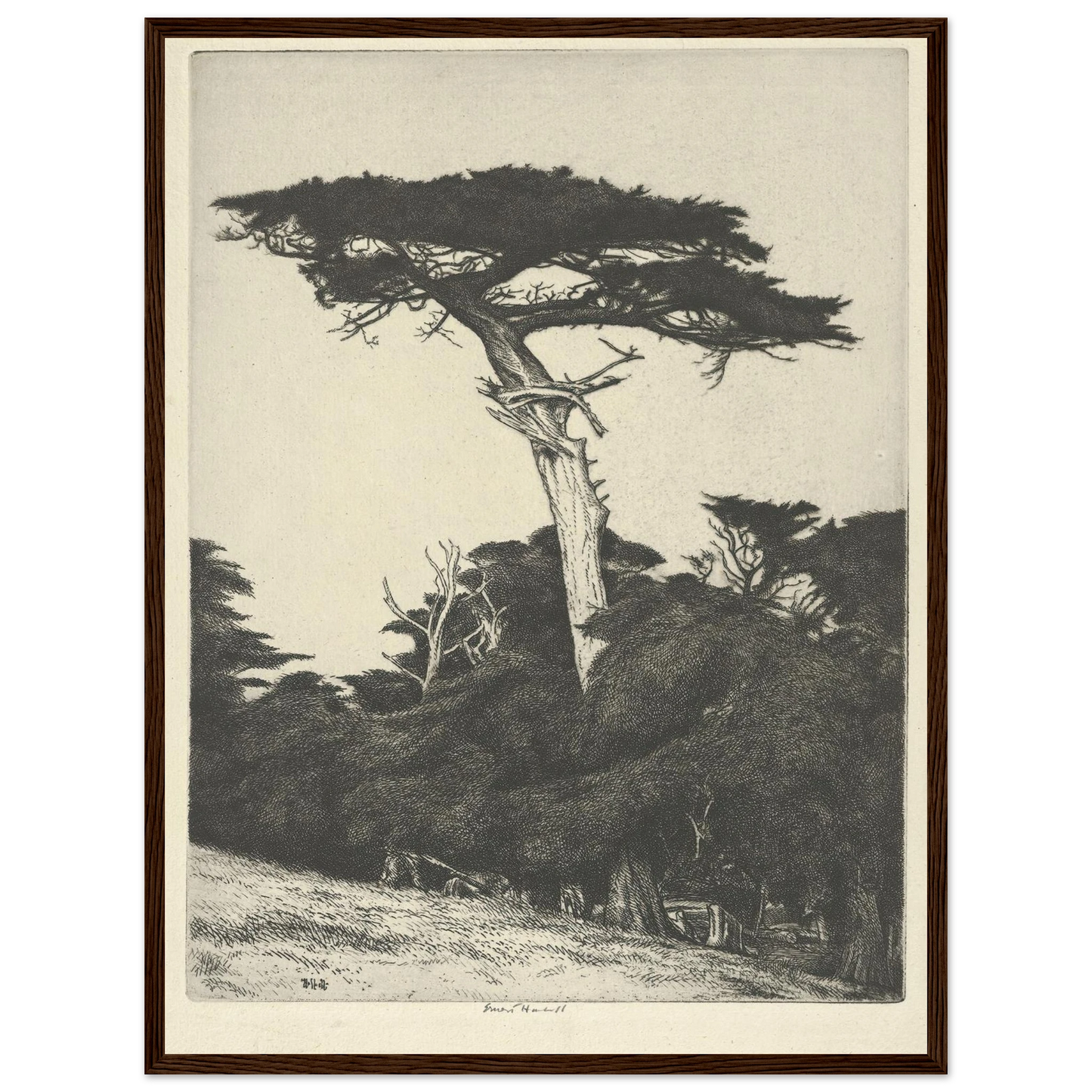 Dryad’s Parasol (1916-1922) Art Print | Ernest Haskell-Quipham Collections