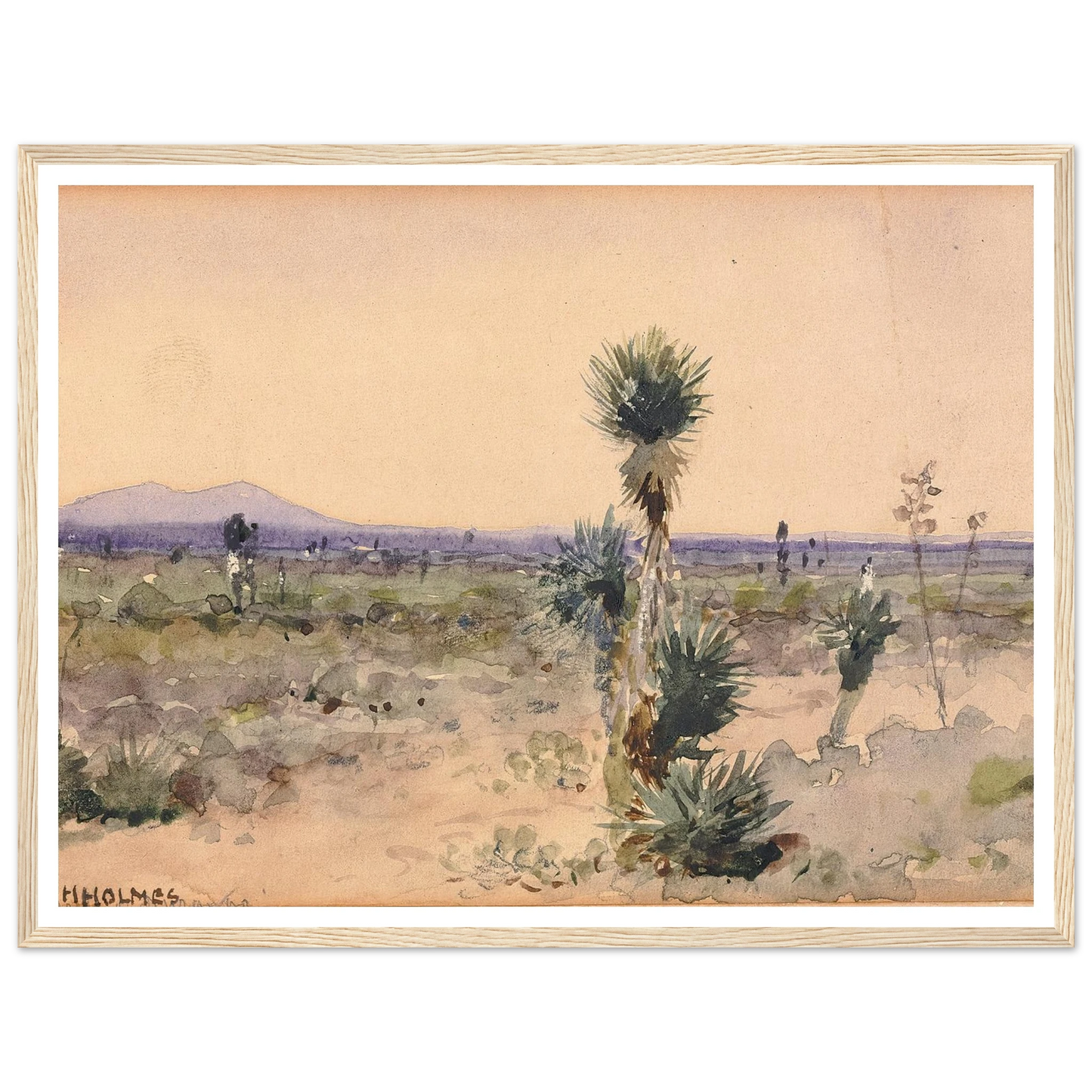 Yuccaland–Chihuahua, Mexico Art Print | William Henry Holmes-Quipham Collections