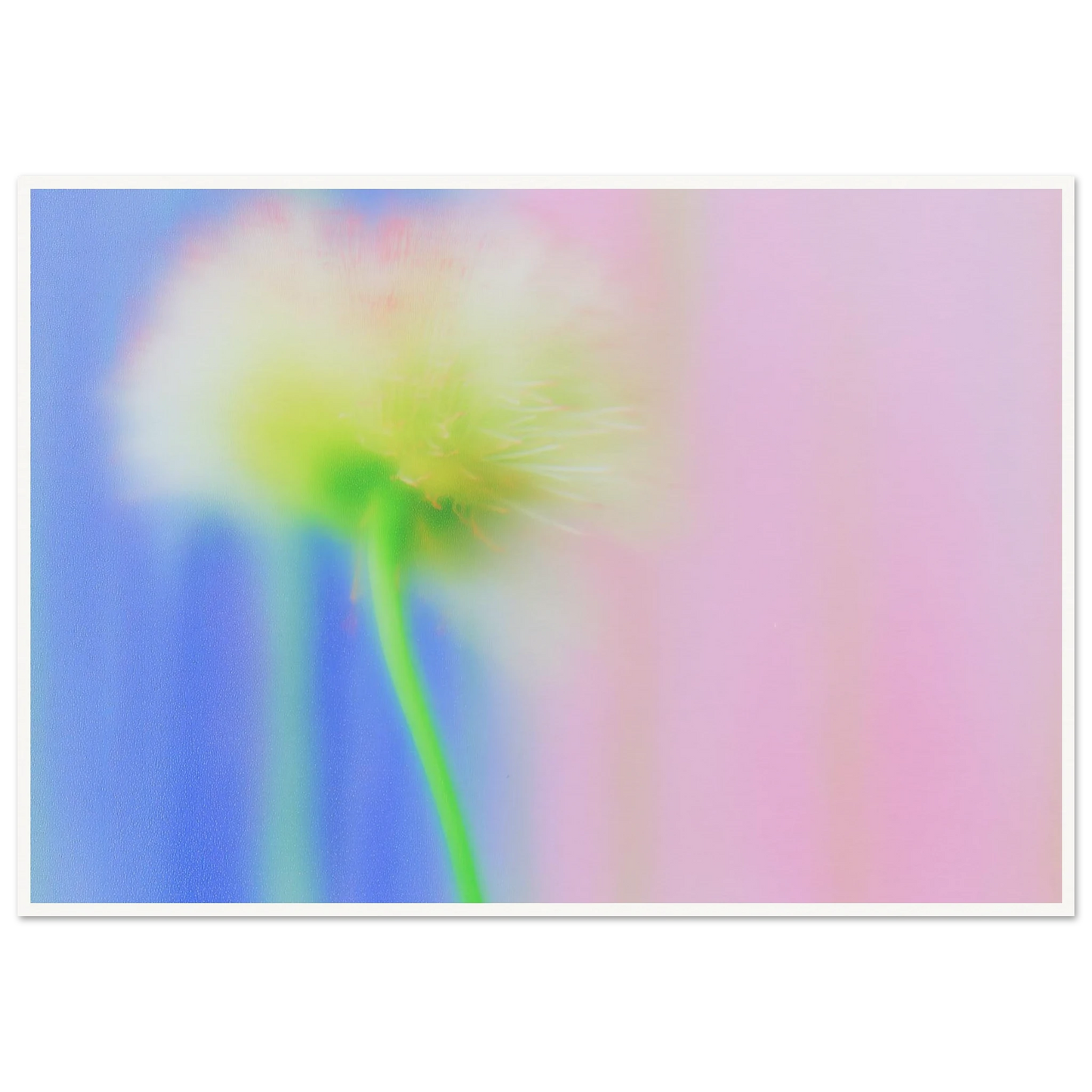 2b588667-b2a0-4937-a03d-b3c5da326cc1