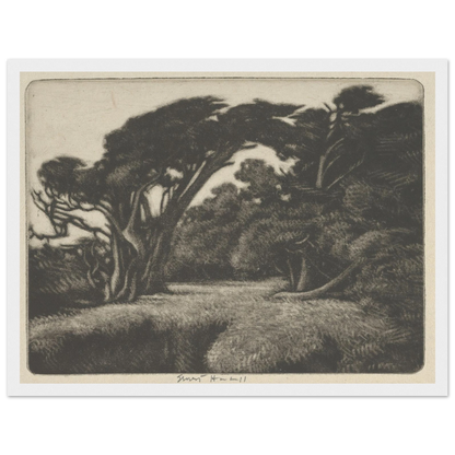 Cypress Bower (1920) Art Print | Ernest Haskell-Quipham Collections