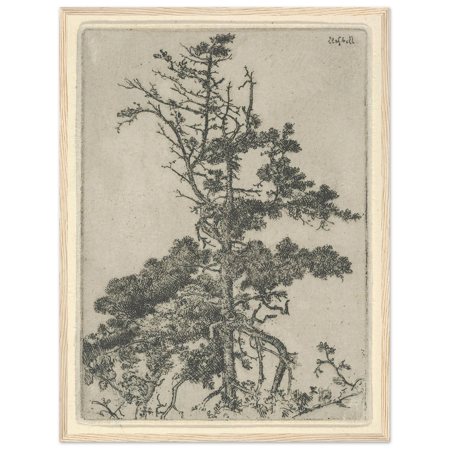 Tree Top (1900-1925) Art Print | Ernest Haskell-Quipham Collections