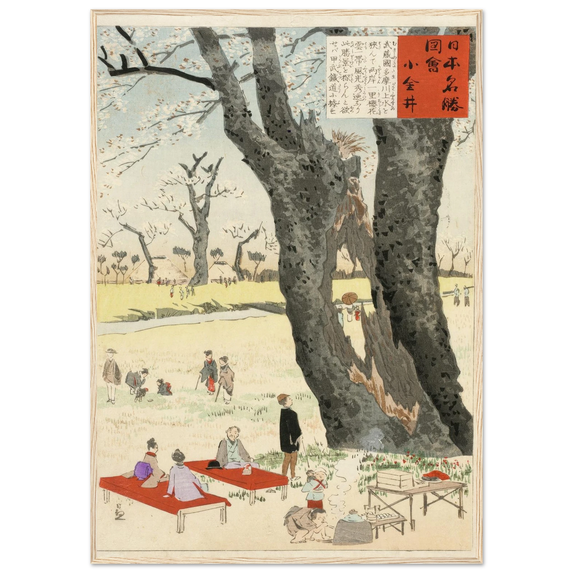 Koganei, Cherry Blossoms (1896) Art Print | Kobayashi Kiyochika-Quipham Collections