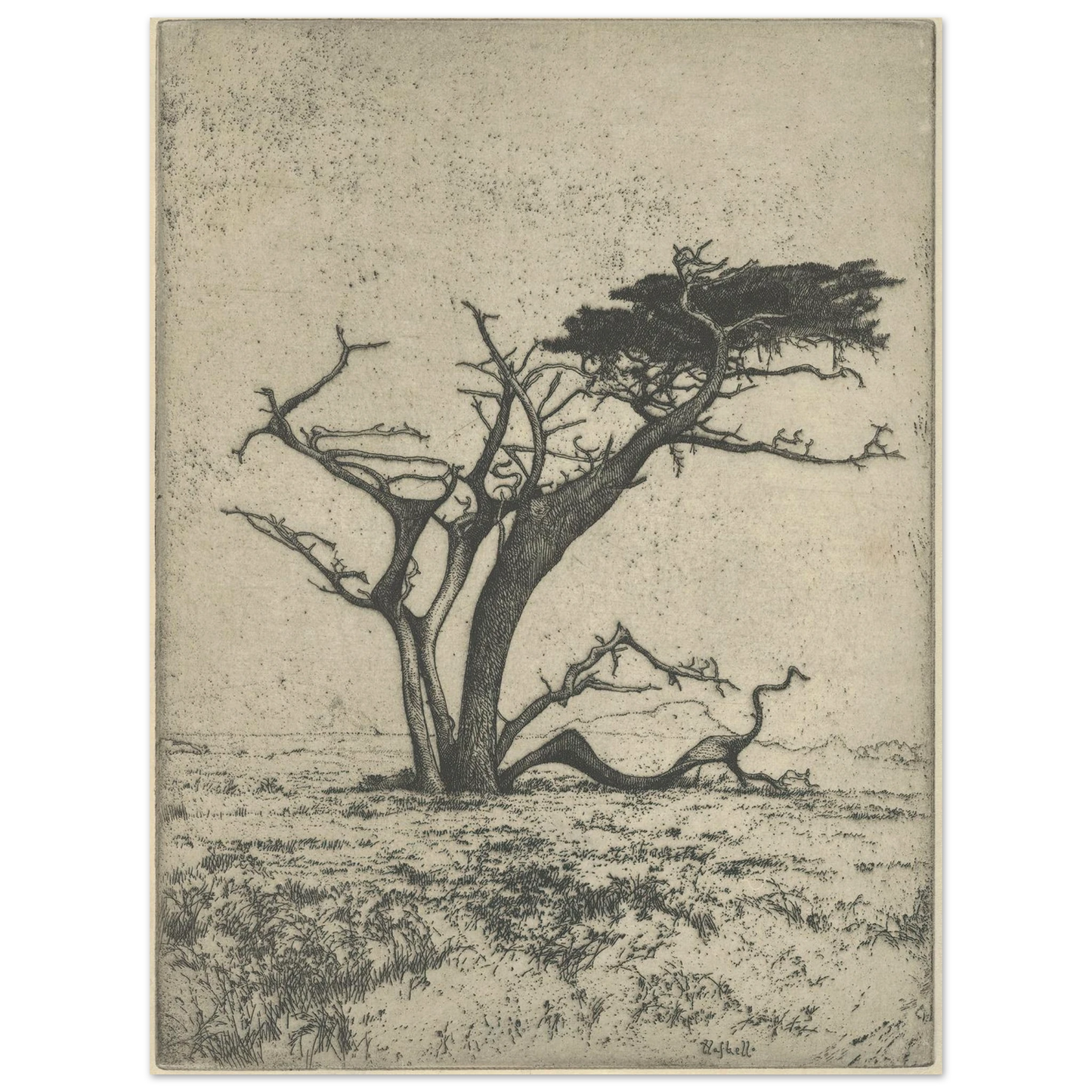 Antlers (1915) Art Print | Ernest Haskell-Quipham Collections