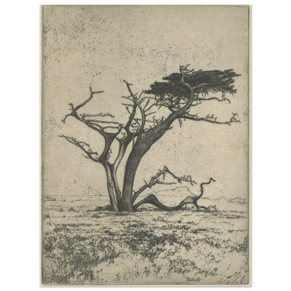 Antlers (1915) Art Print | Ernest Haskell-Quipham Collections