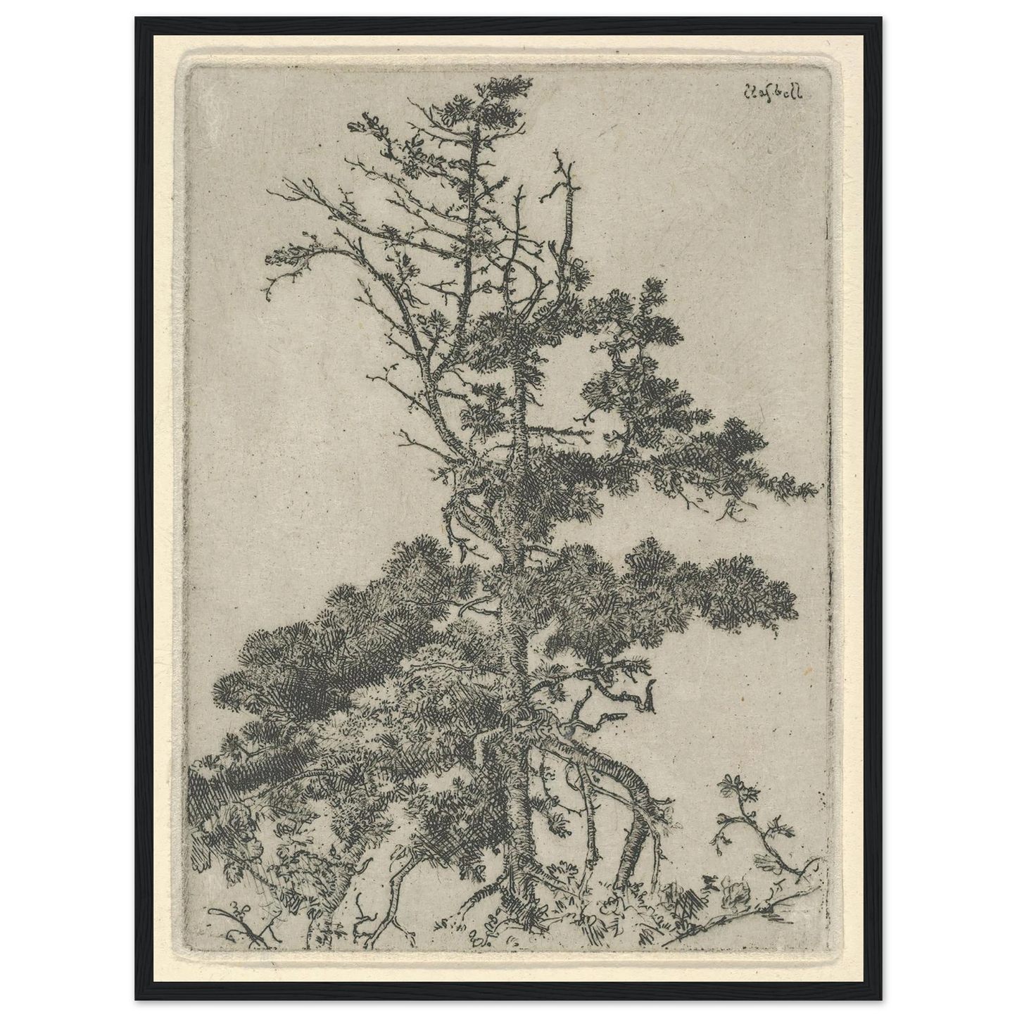 Tree Top (1900-1925) Art Print | Ernest Haskell-Quipham Collections