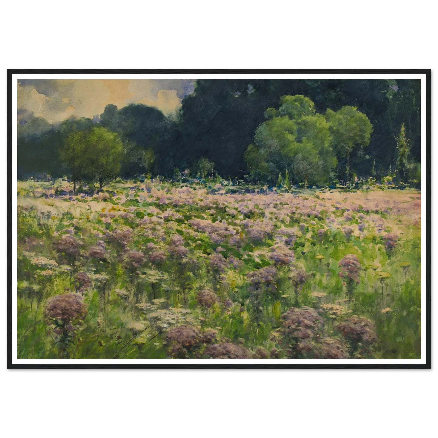 Field Of Joe Pie Weeds (Pride Of The Meadow) Art Print | William Henry Holmes-Quipham Collections