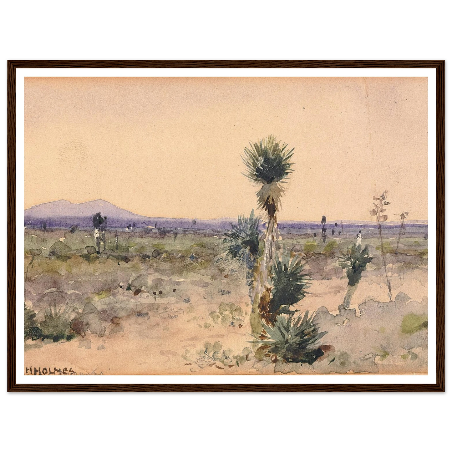 Yuccaland–Chihuahua, Mexico Art Print | William Henry Holmes-Quipham Collections