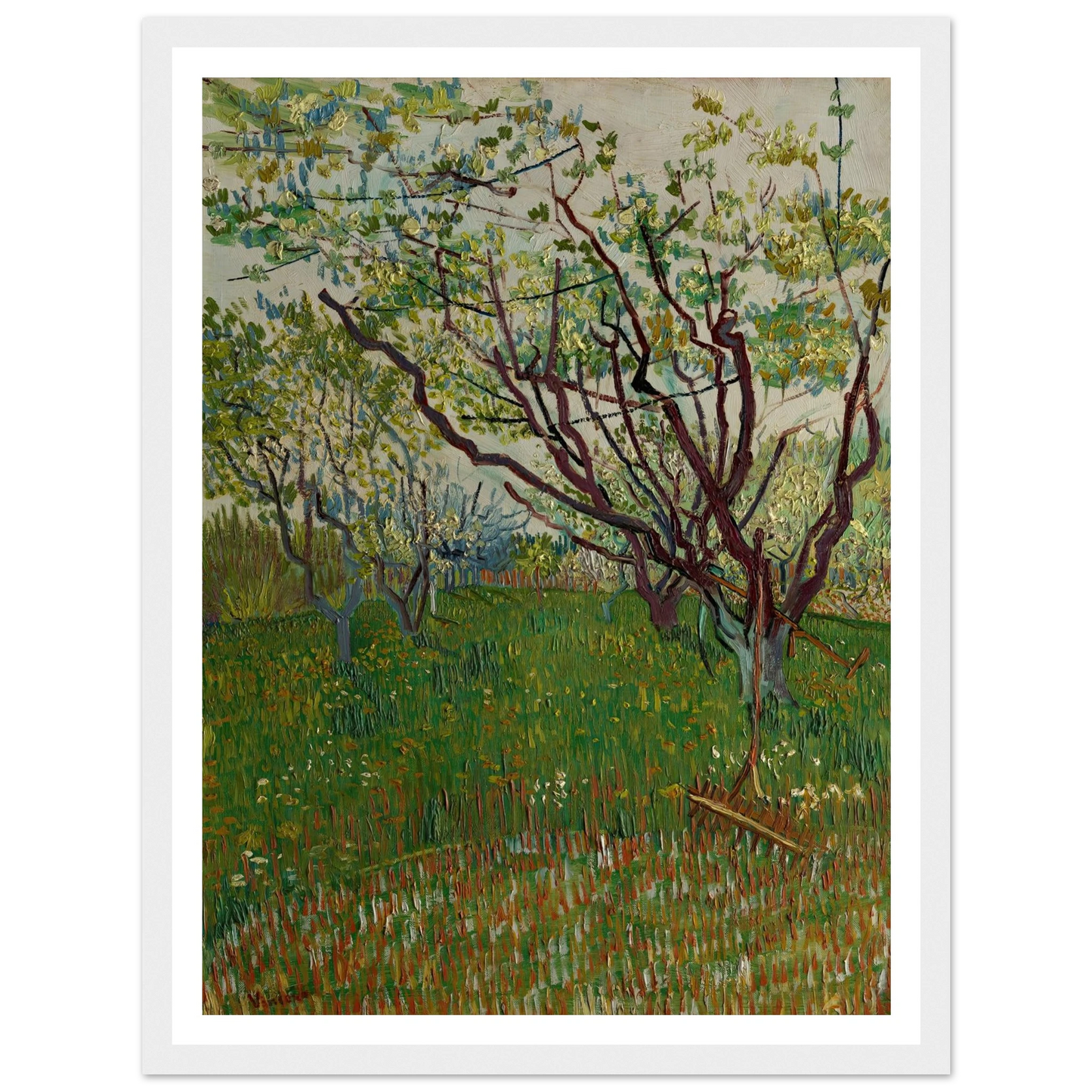 The Flowering Orchard (1888) Art Print | Vincent van Gogh-Quipham Collections