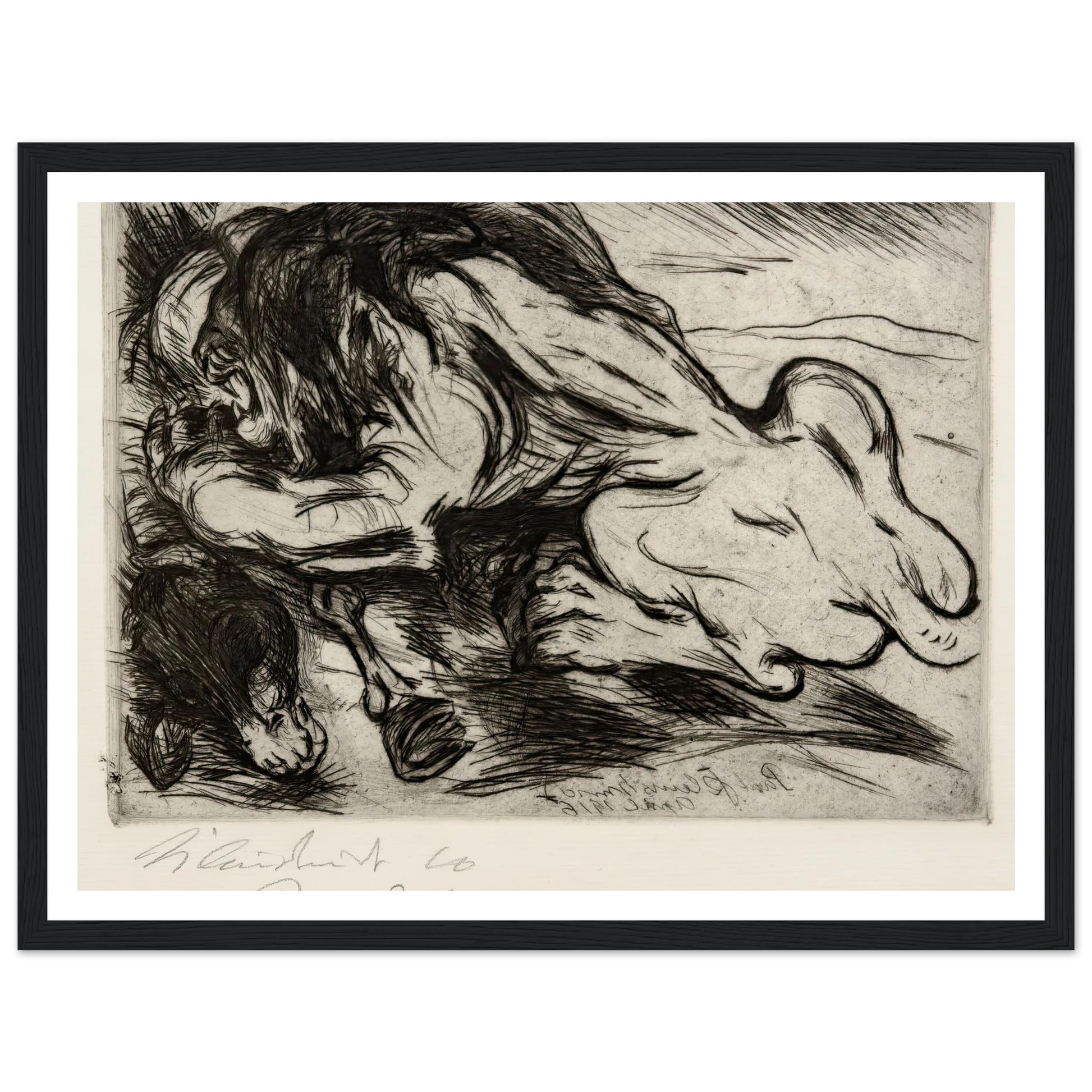 Ein Löwe reißt ein Zebu (1916) Art Print | Paul Kleinschmidt-Quipham Collections