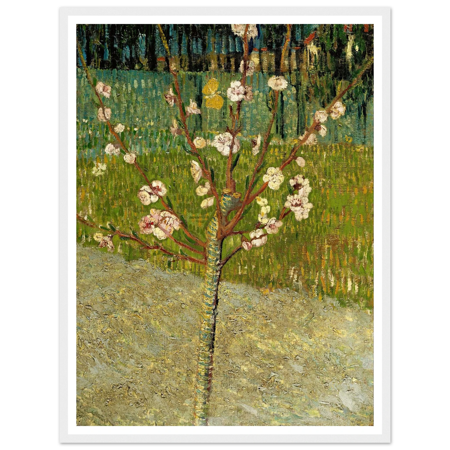 Almond tree in blossom Art Print | Vincent van Gogh-Quipham Collections