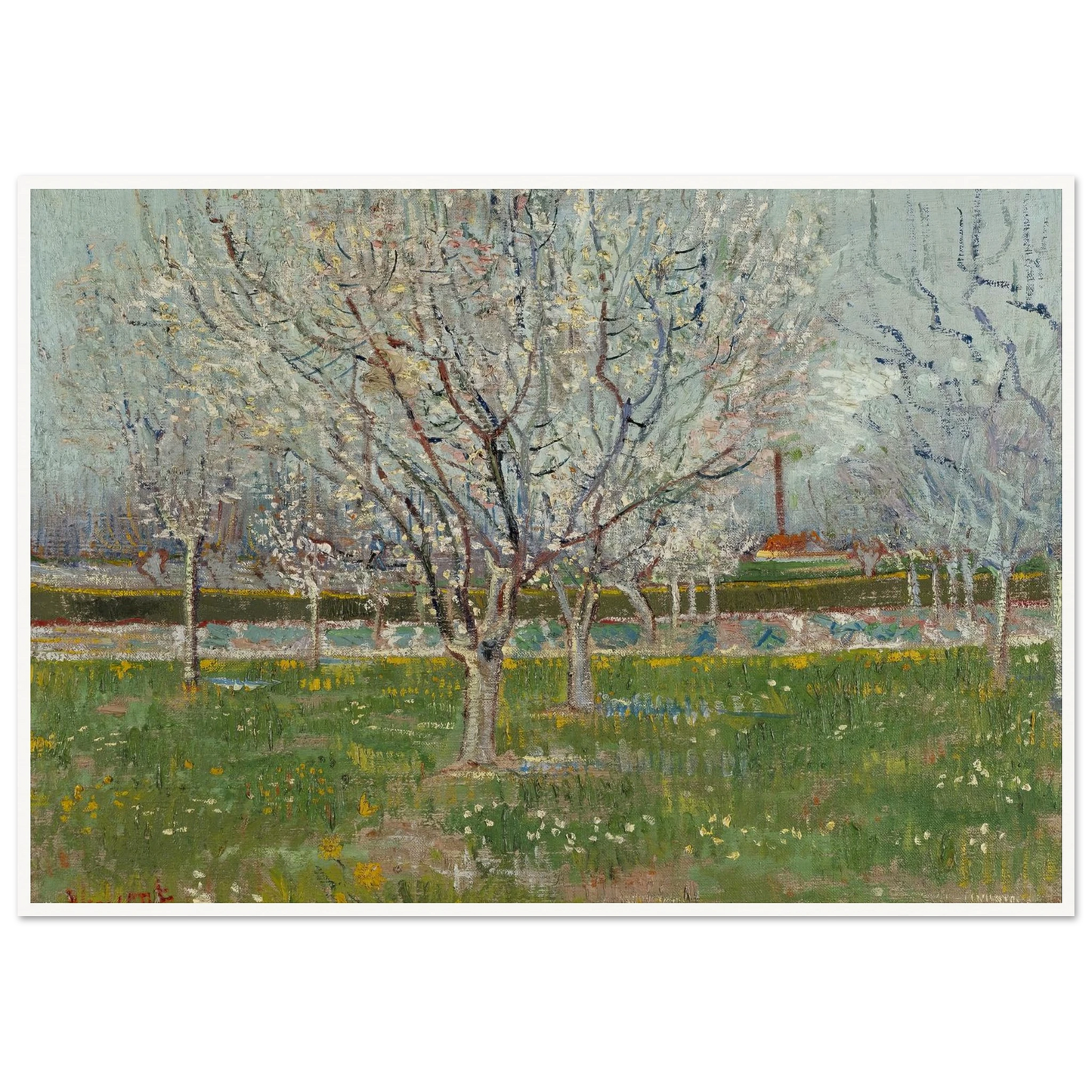 Orchard in Blossom (Plum Trees) Art Print | Vincent van Gogh-Quipham Collections