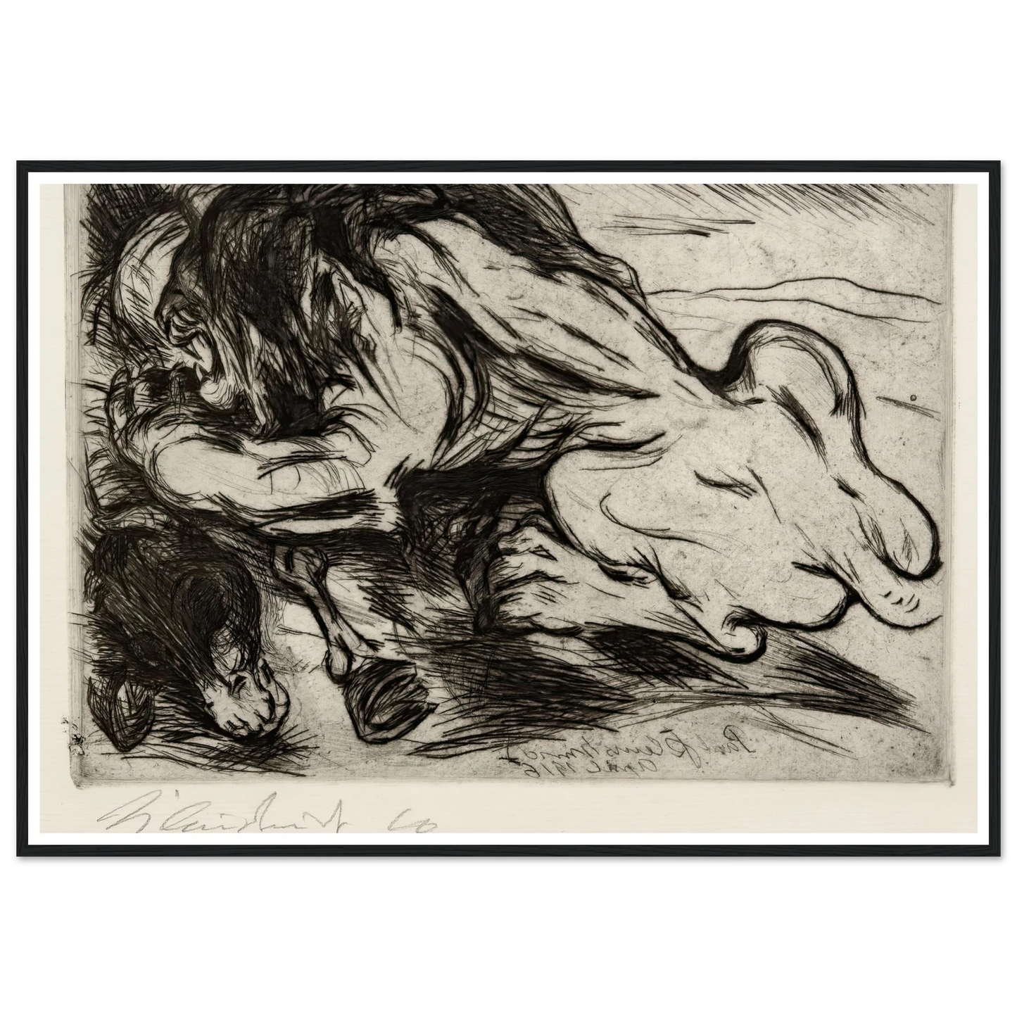 Ein Löwe reißt ein Zebu (1916) Art Print | Paul Kleinschmidt-Quipham Collections