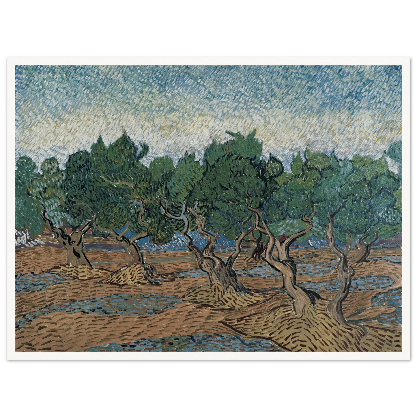 Olive grove Art Print | Vincent van Gogh-Quipham Collections