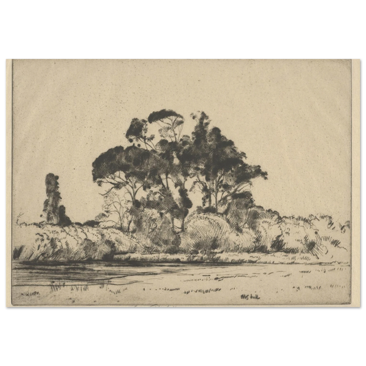 Feathery Trees (1900-1925) Art Print | Ernest Haskell-Quipham Collections