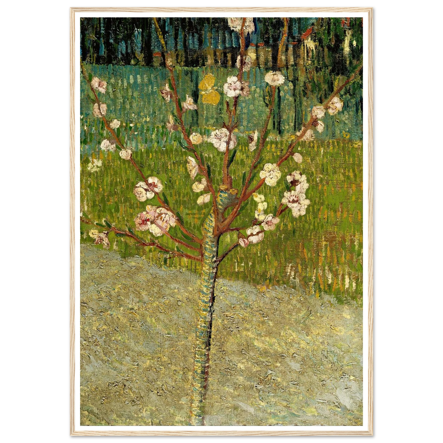Almond tree in blossom Art Print | Vincent van Gogh-Quipham Collections