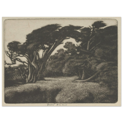 Cypress Bower (1920) Art Print | Ernest Haskell-Quipham Collections