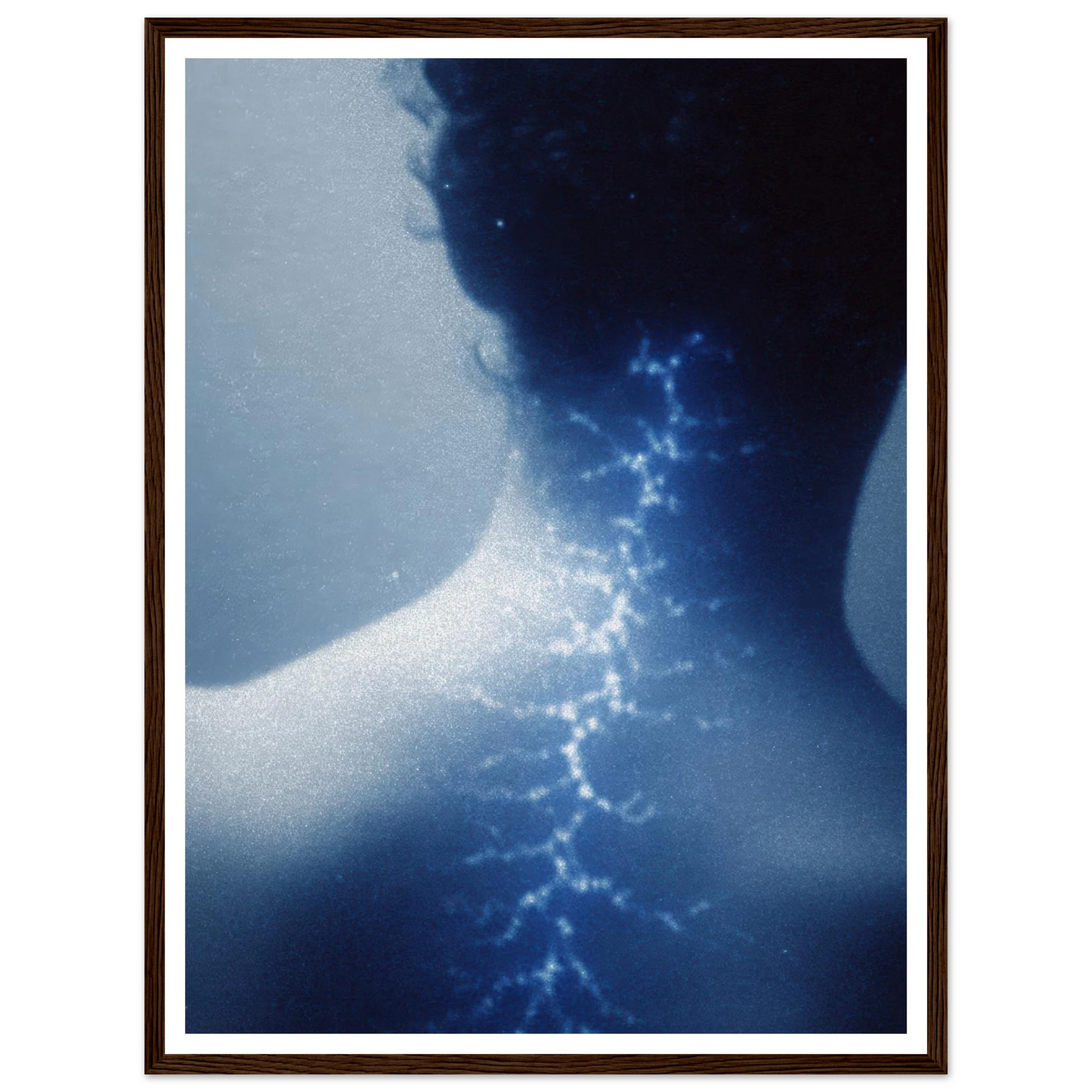 407c31a7-fa69-4552-b29c-2f4890777ff5