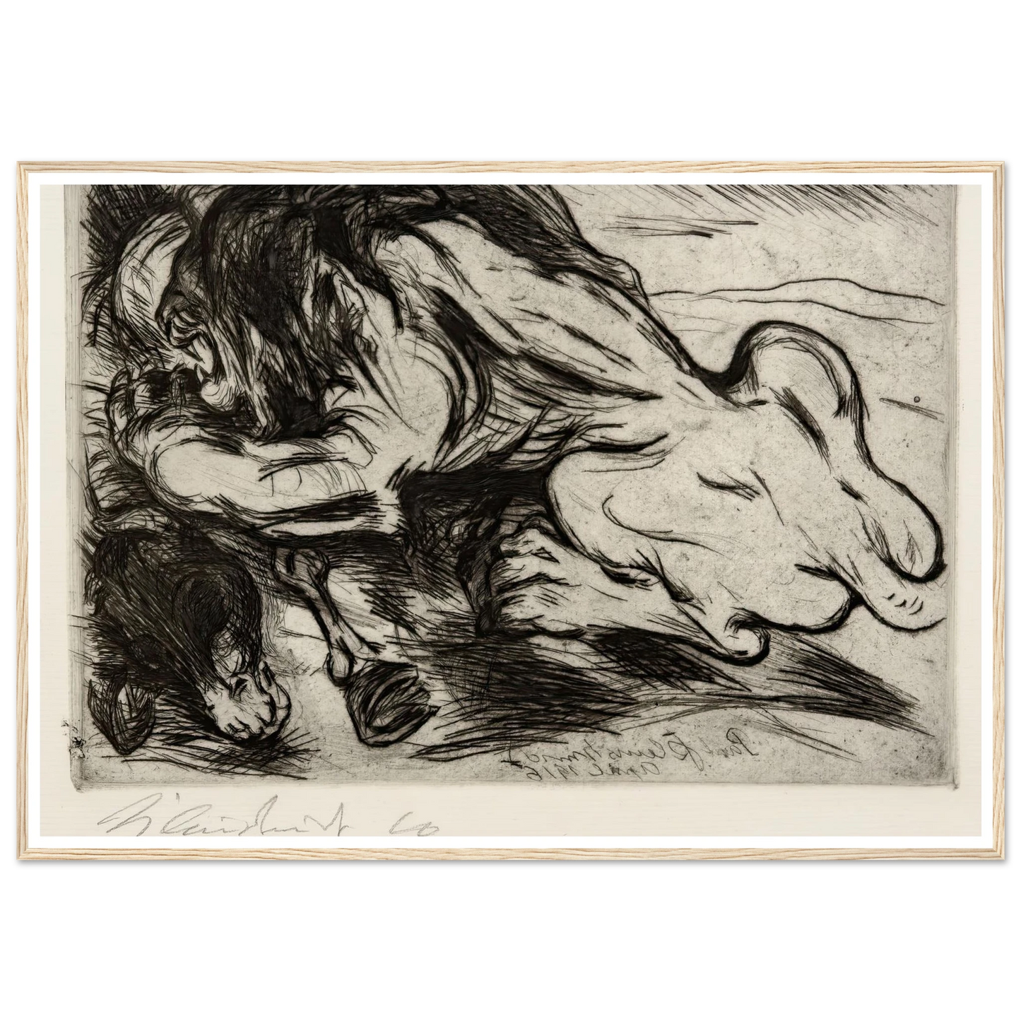 Ein Löwe reißt ein Zebu (1916) Art Print | Paul Kleinschmidt-Quipham Collections
